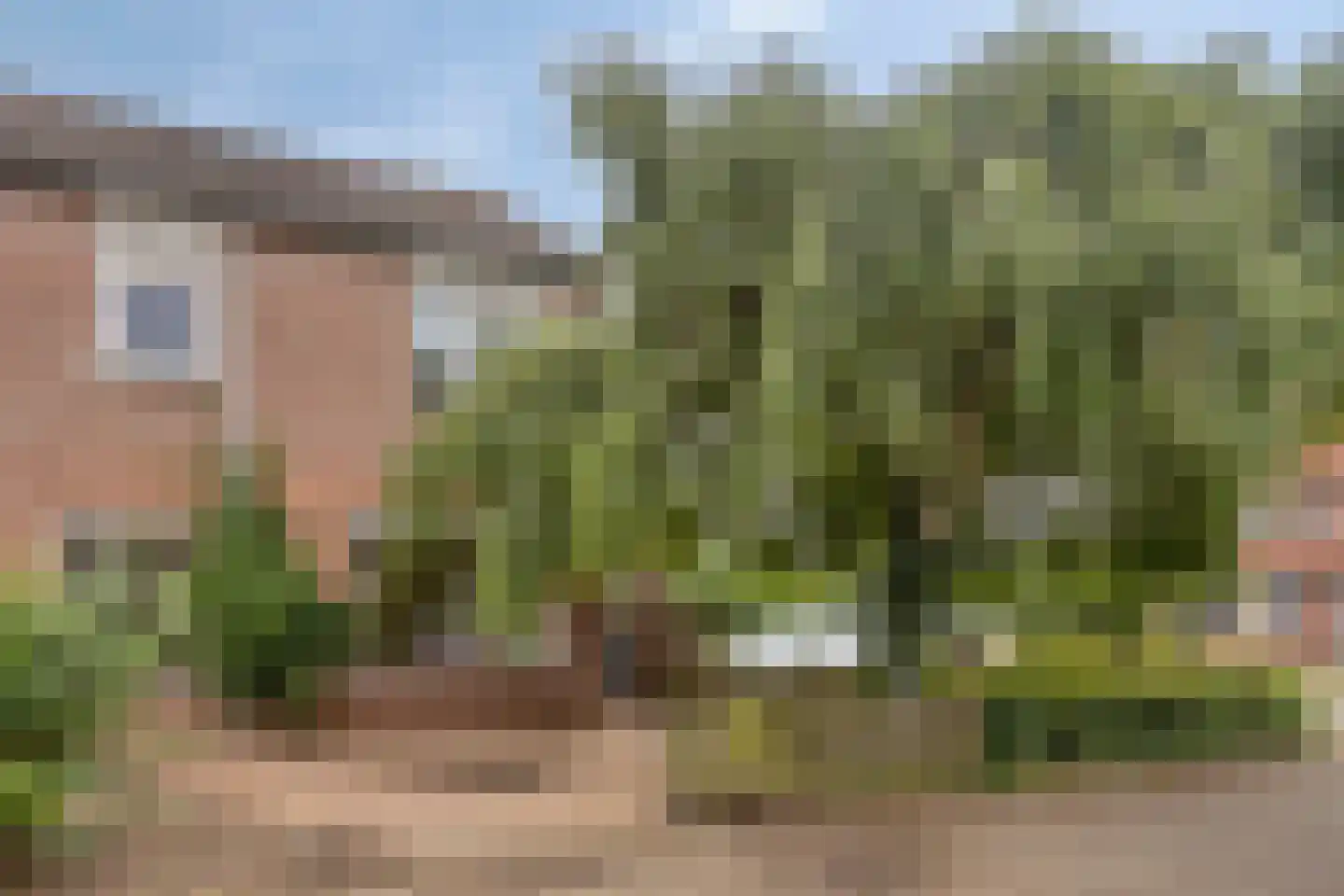 Lier 2 Ewijk