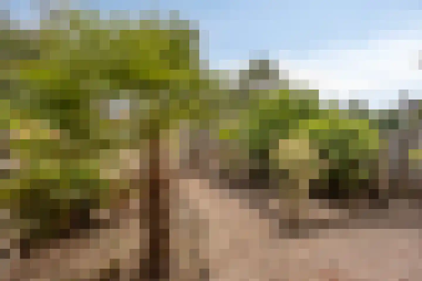 Lier 2 Ewijk thumbnail 34