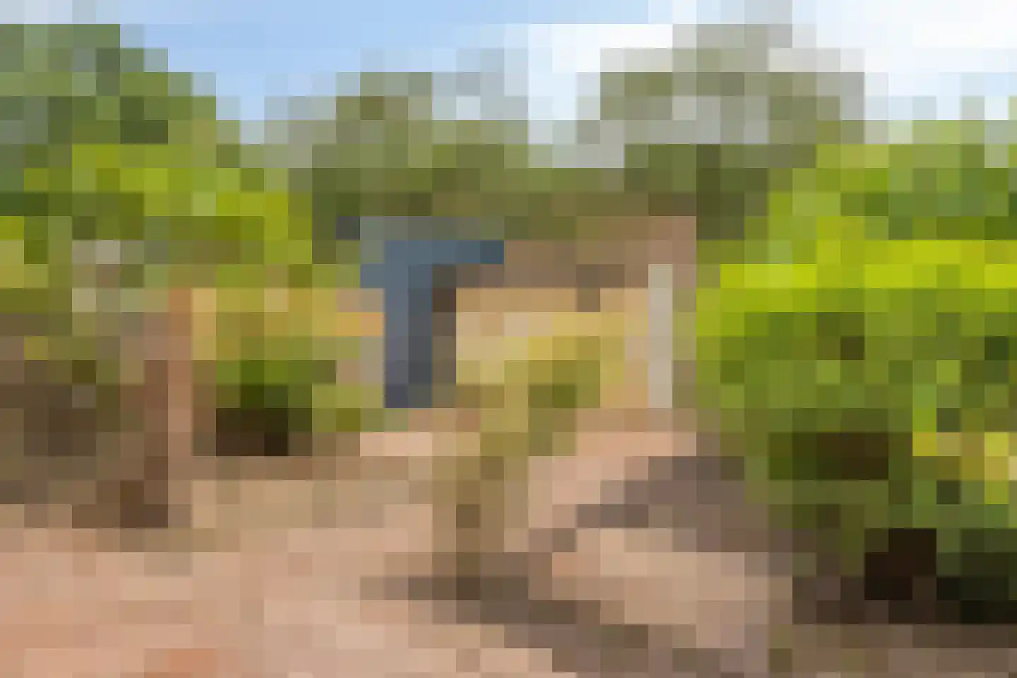 Lier 2 Ewijk thumbnail 35