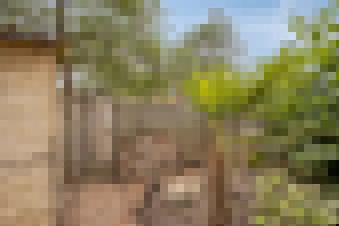 Lier 2 Ewijk thumbnail 36