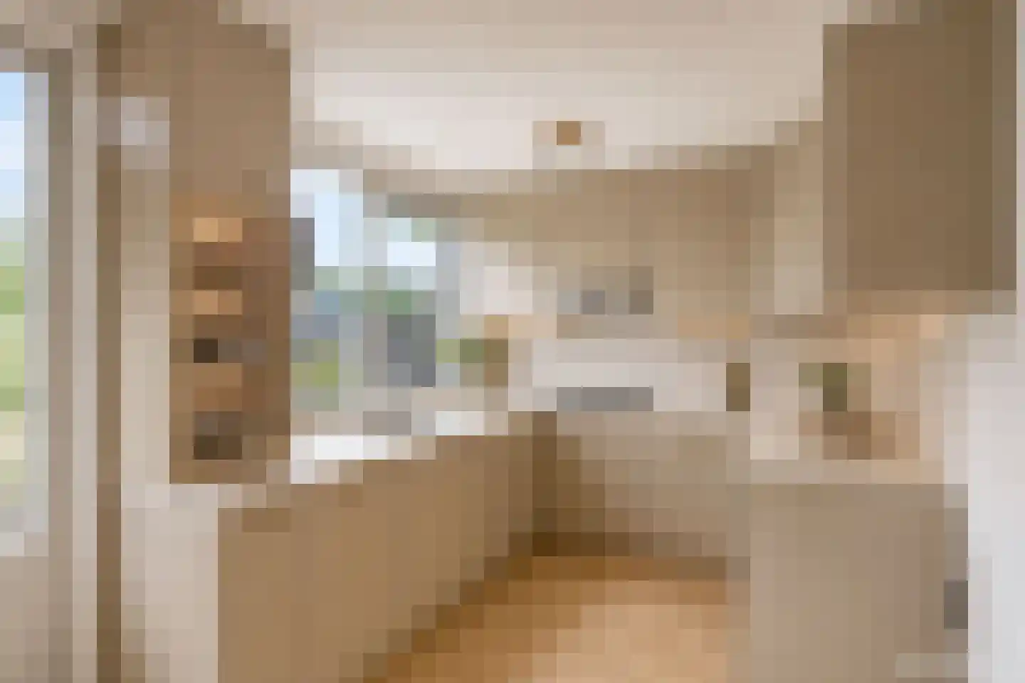Lier 2 Ewijk thumbnail 4