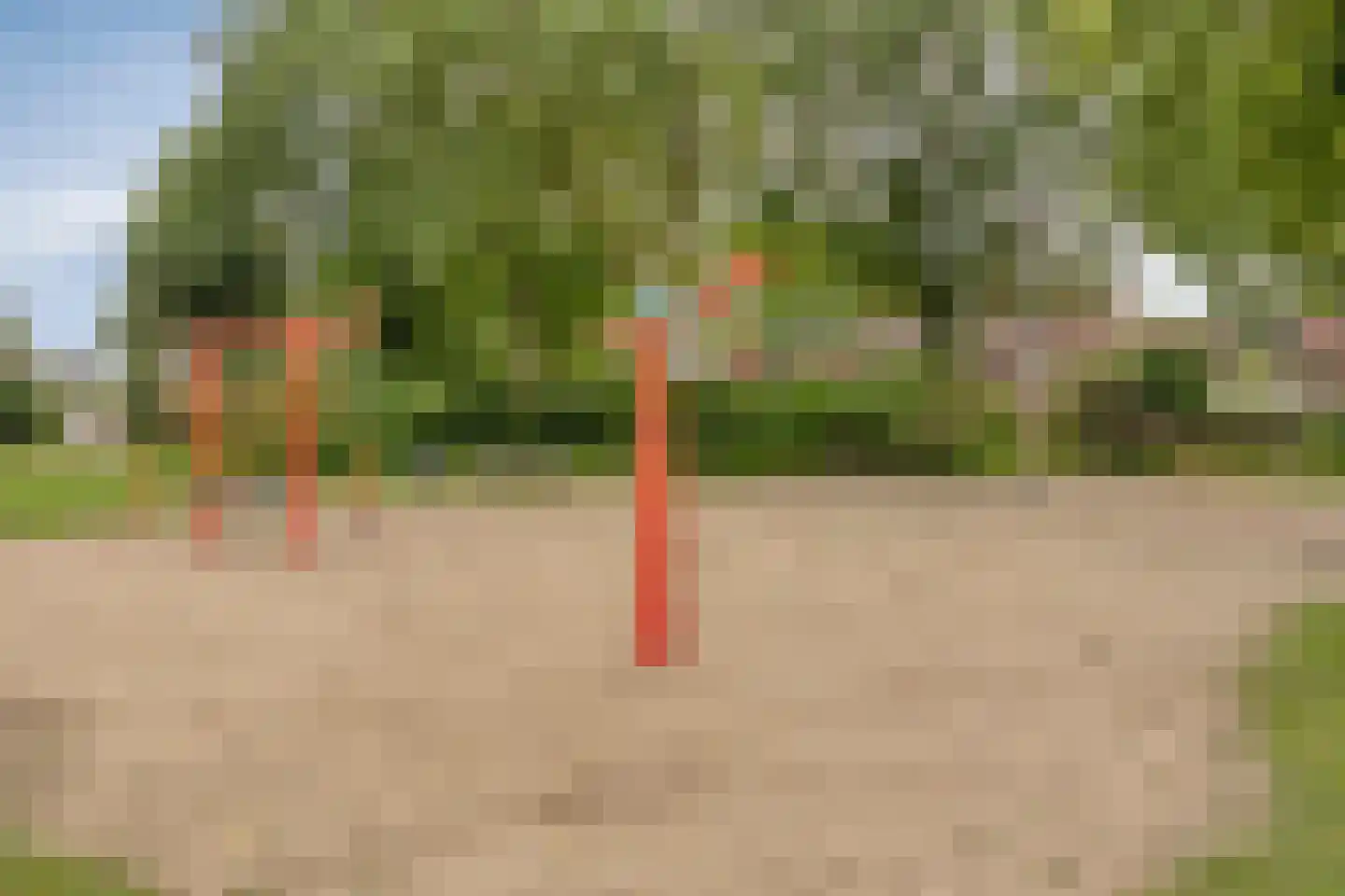 Lier 2 Ewijk thumbnail 48