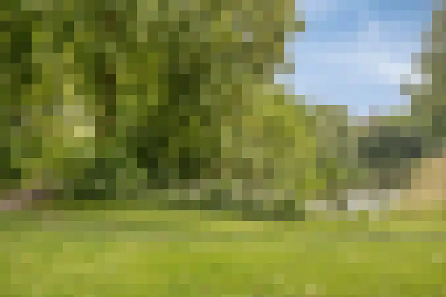 Lier 2 Ewijk thumbnail 49