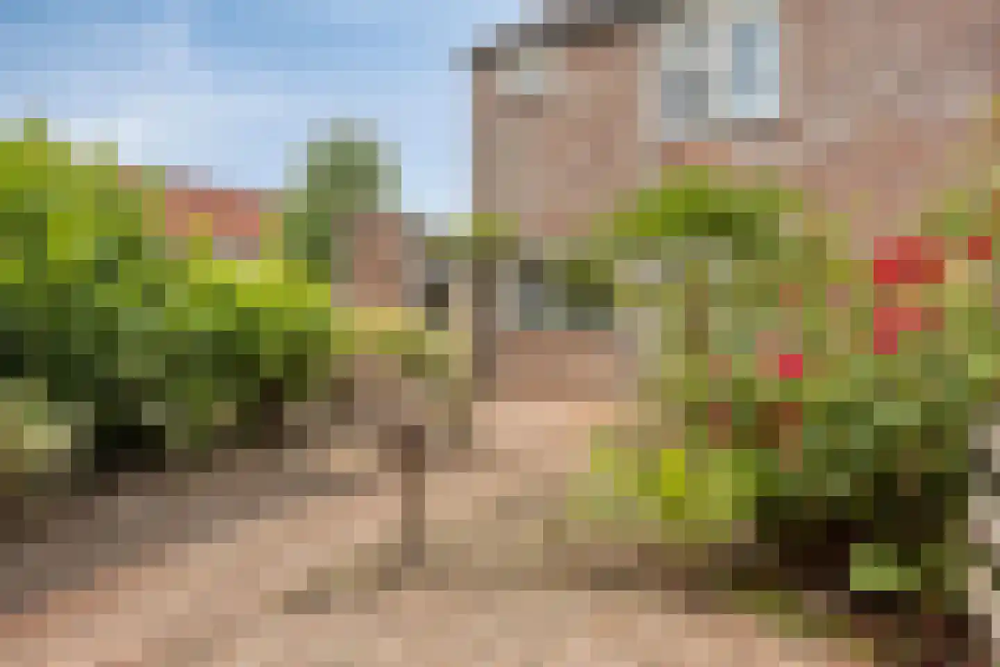 Lier 2 Ewijk thumbnail 8