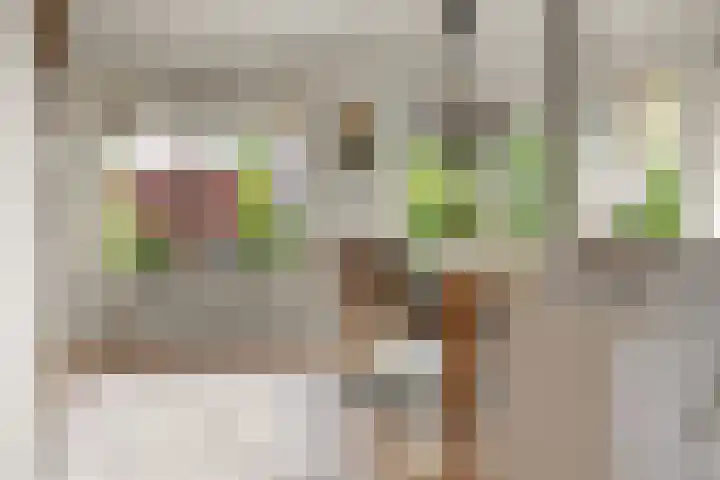 Lier 22 Zevenaar thumbnail 17