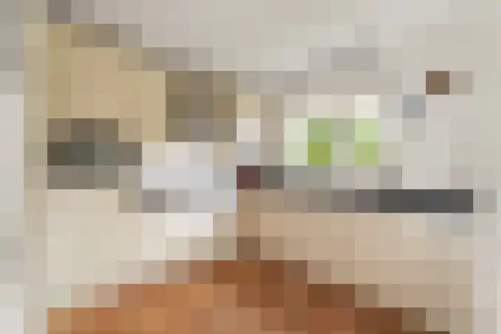 Lier 22 Zevenaar thumbnail 19