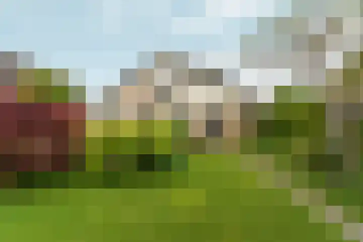 Lier 22 Zevenaar foto 2