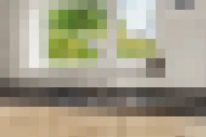 Lier 22 Zevenaar thumbnail 20