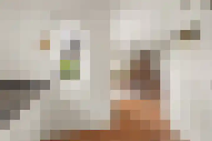 Lier 22 Zevenaar thumbnail 21
