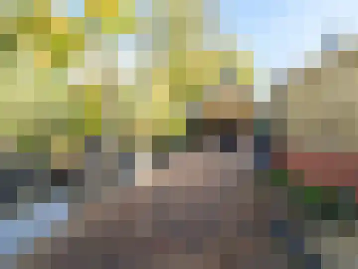Lier 22 Zevenaar thumbnail 23