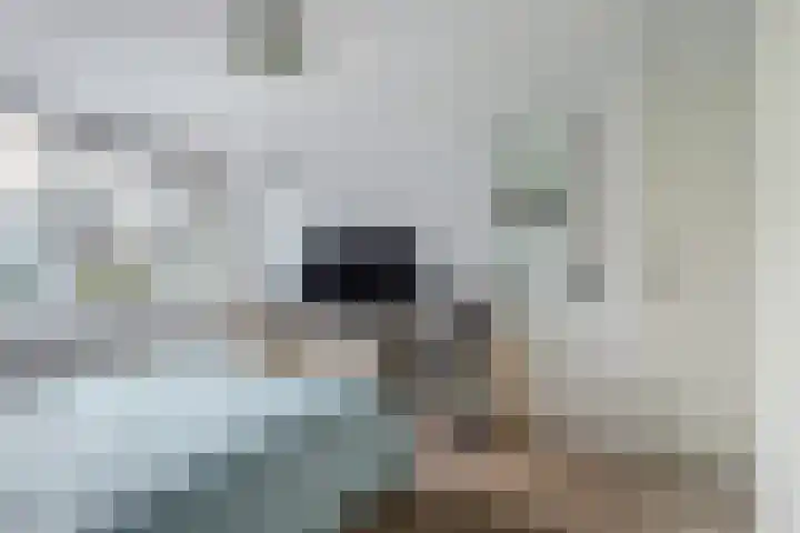 Lier 22 Zevenaar thumbnail 26