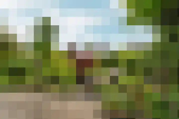 Lier 22 Zevenaar foto 3