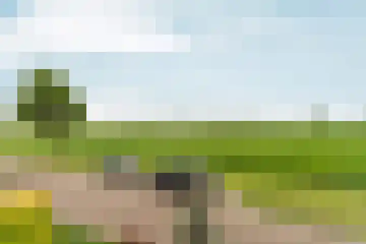 Lier 22 Zevenaar thumbnail 31