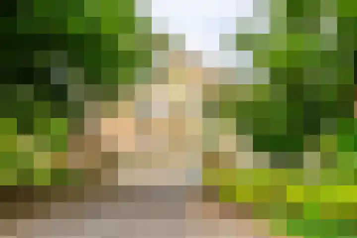 Lier 22 Zevenaar thumbnail 32