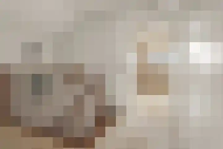 Lier 22 Zevenaar thumbnail 40