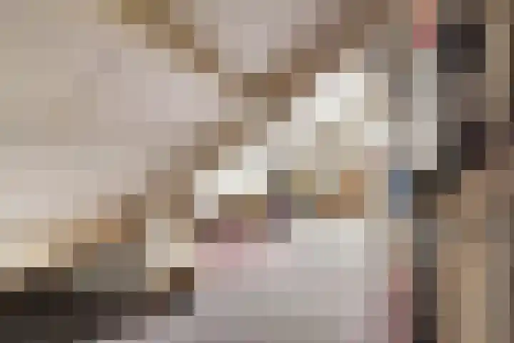 Lier 22 Zevenaar thumbnail 41