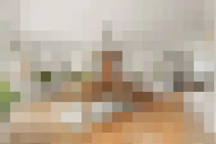 Lier 22 Zevenaar thumbnail 5