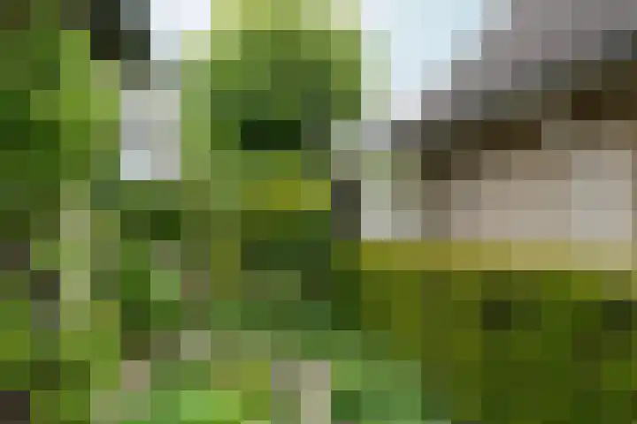Lier 22 Zevenaar thumbnail 53