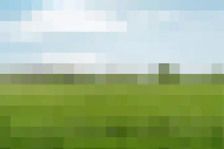 Lier 22 Zevenaar thumbnail 58