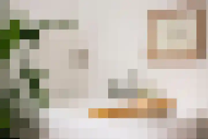 Lier 22 Zevenaar thumbnail 59