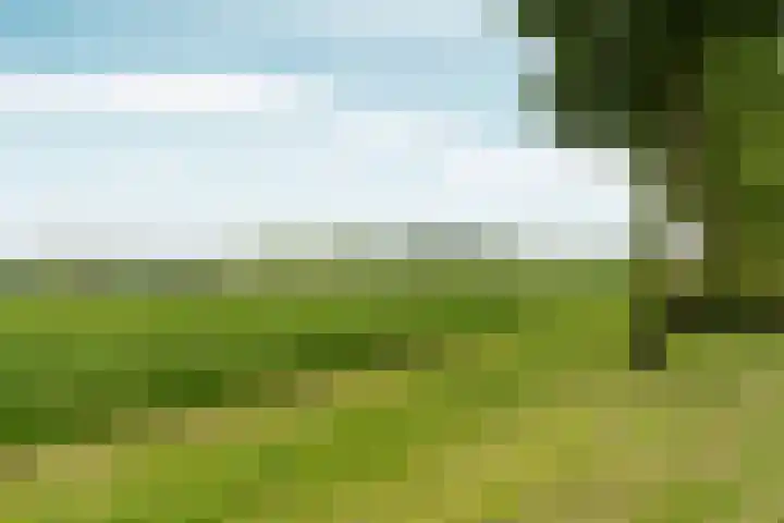 Lier 22 Zevenaar thumbnail 59