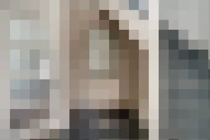 Lier 8 Zevenaar thumbnail 10