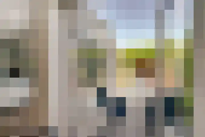 Lier 8 Zevenaar thumbnail 12