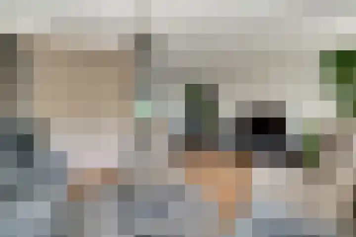 Lier 8 Zevenaar thumbnail 13