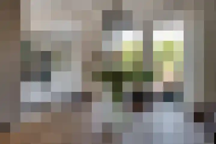 Lier 8 Zevenaar thumbnail 18