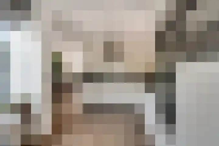 Lier 8 Zevenaar thumbnail 20