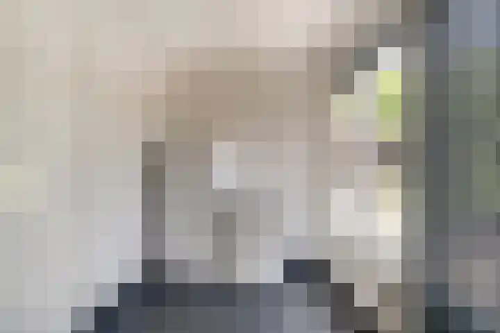 Lier 8 Zevenaar thumbnail 21