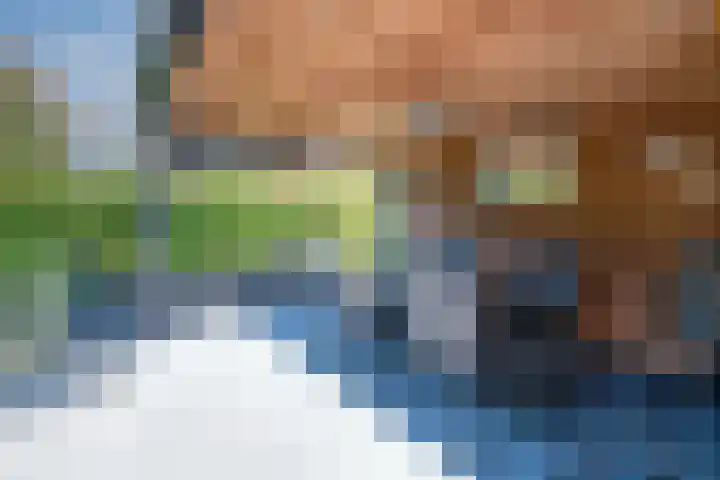 Lier 8 Zevenaar thumbnail 25