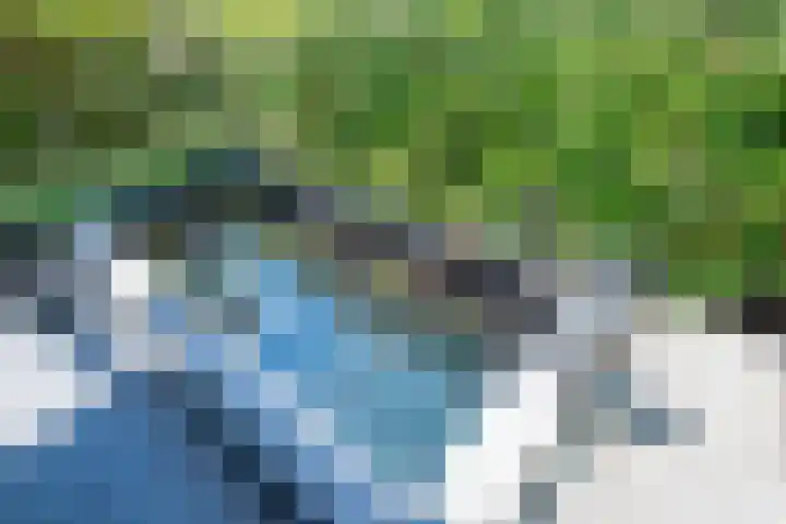 Lier 8 Zevenaar thumbnail 27