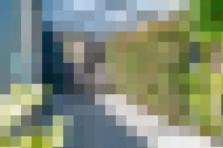 Lier 8 Zevenaar thumbnail 29