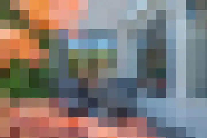 Lier 8 Zevenaar thumbnail 31