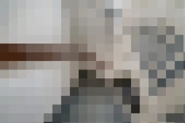 Lier 8 Zevenaar thumbnail 32