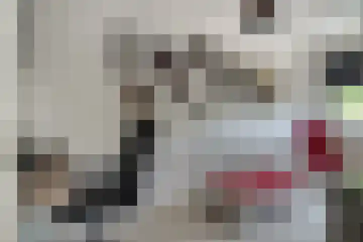 Lier 8 Zevenaar thumbnail 40
