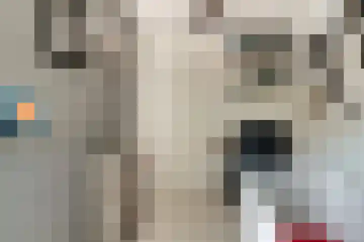 Lier 8 Zevenaar thumbnail 41