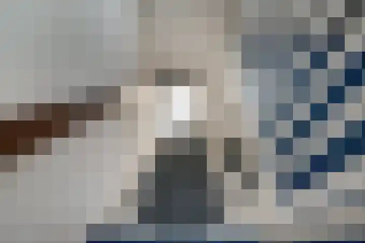 Lier 8 Zevenaar thumbnail 44