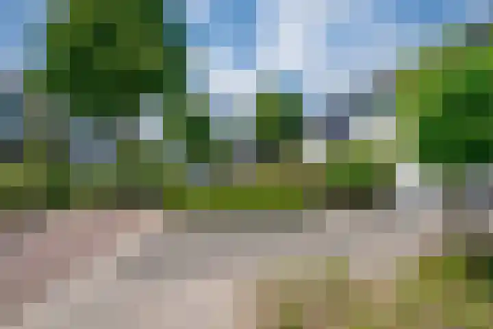 Lier 8 Zevenaar thumbnail 6