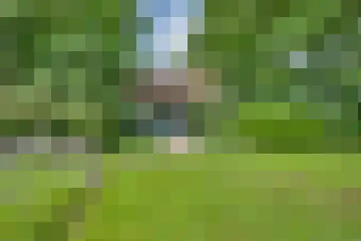 Lierderholthuisweg 40 Lierderholthuis thumbnail 51