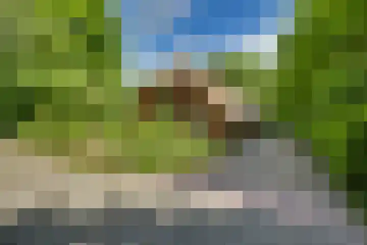 Lierderholthuisweg 40 Lierderholthuis thumbnail 7