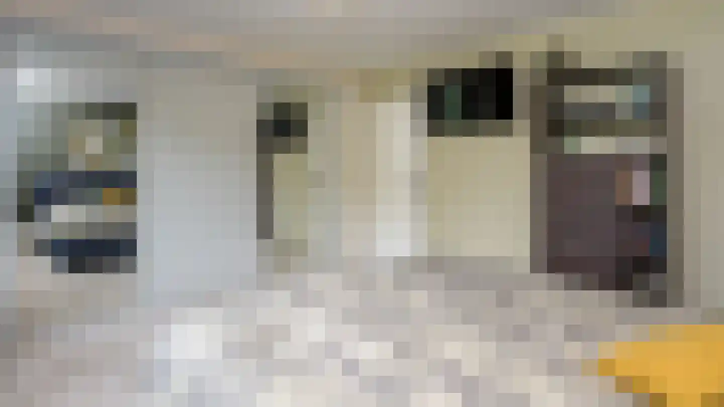 Lierderstraat 1 A Lieren thumbnail 22