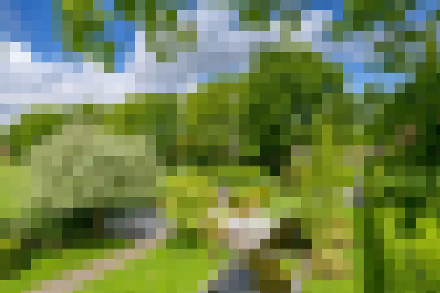Lierderstraat 1 A Lieren thumbnail 33