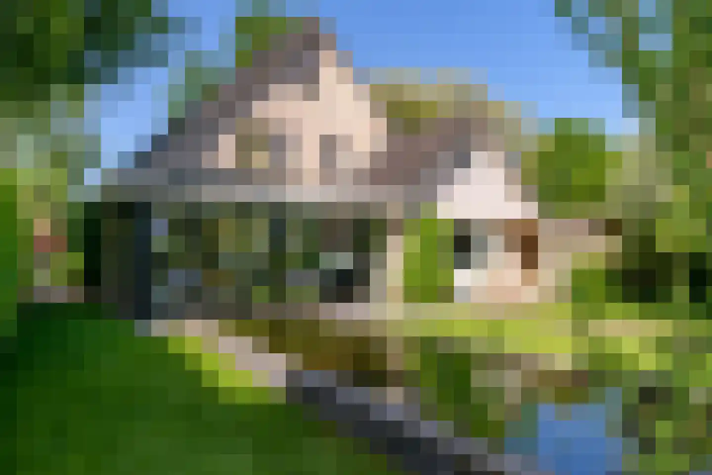 Lierderstraat 1 A Lieren thumbnail 46
