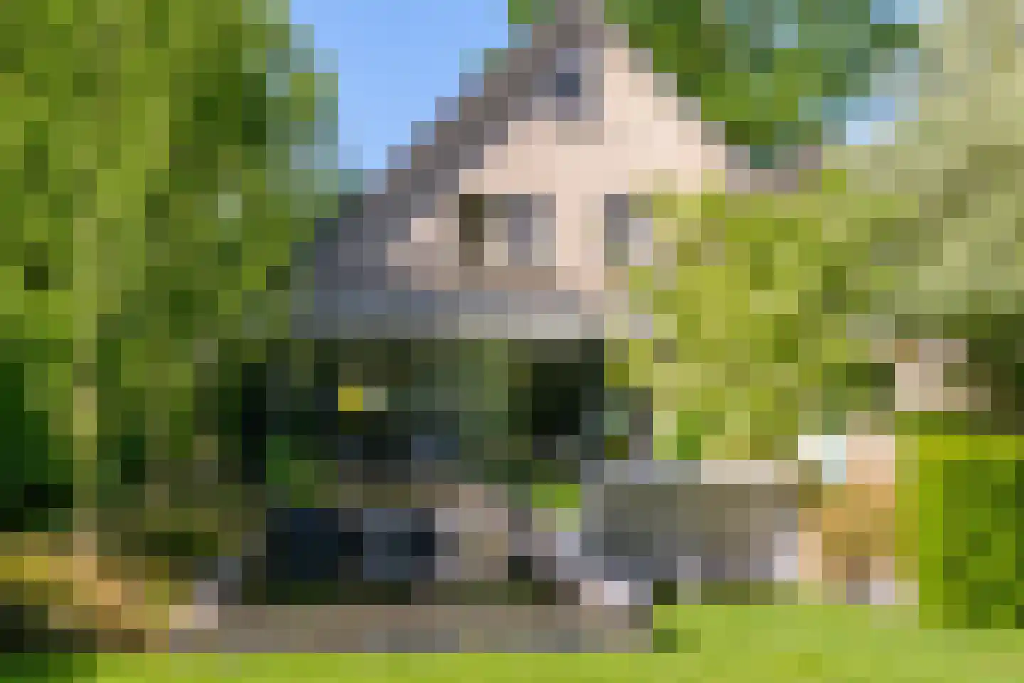 Lierderstraat 1 A Lieren thumbnail 49