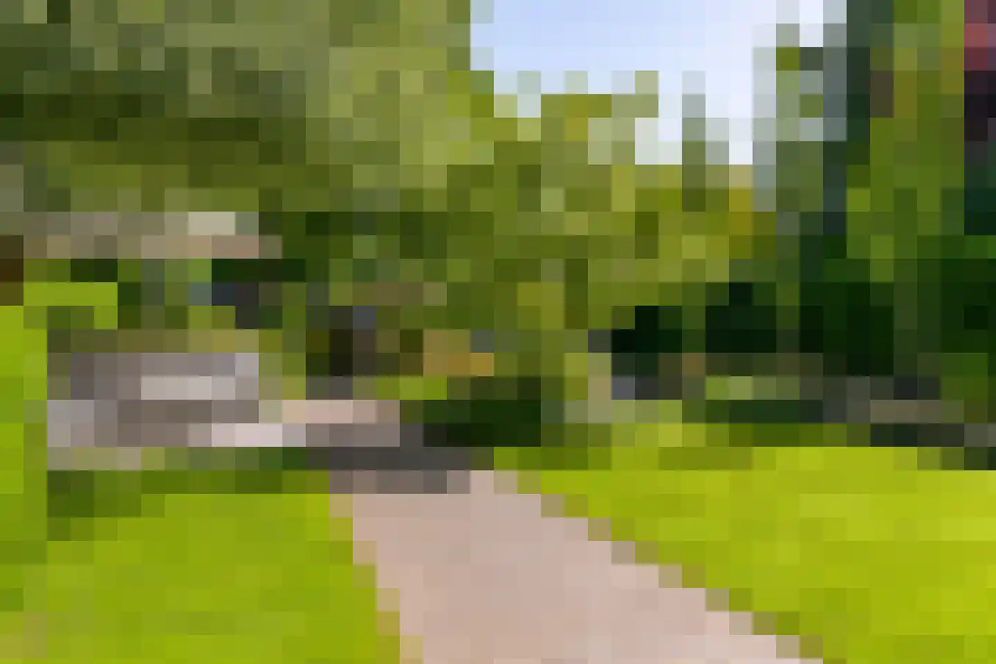 Lierderstraat 1 A Lieren thumbnail 51