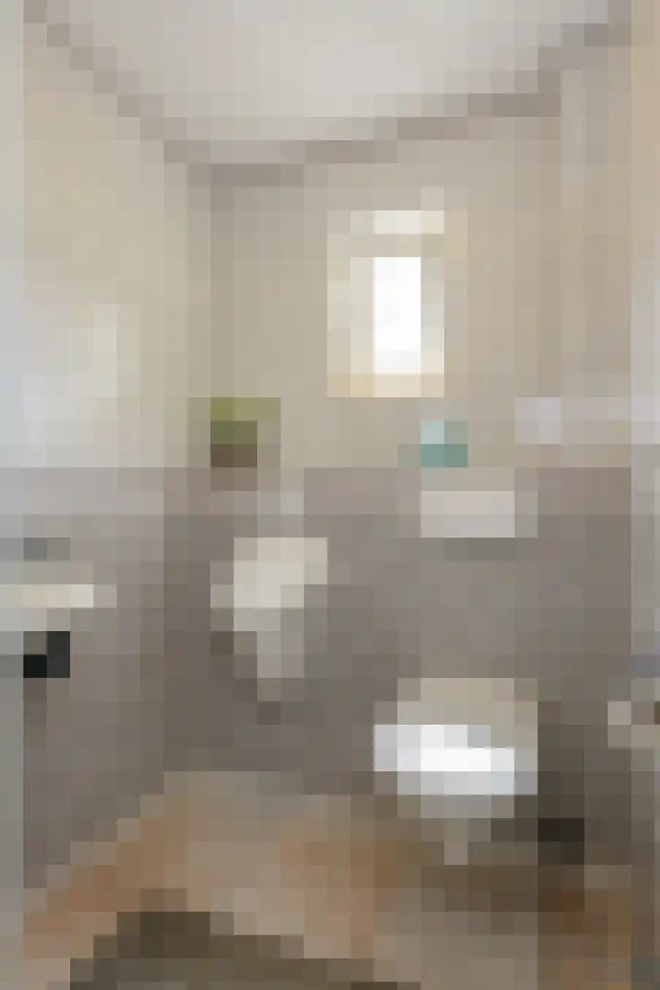 Lierderstraat 1 A Lieren thumbnail 7