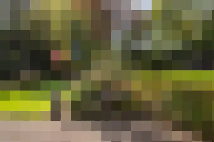 Lierderstraat 49 Lieren thumbnail 34