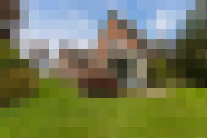 Lierderstraat 49 Lieren thumbnail 37
